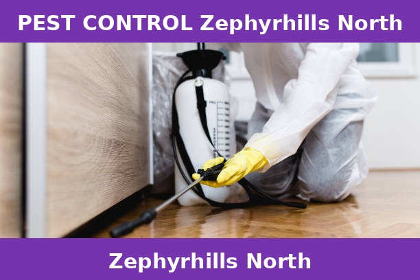 PEST CONTROL Zephyrhills North